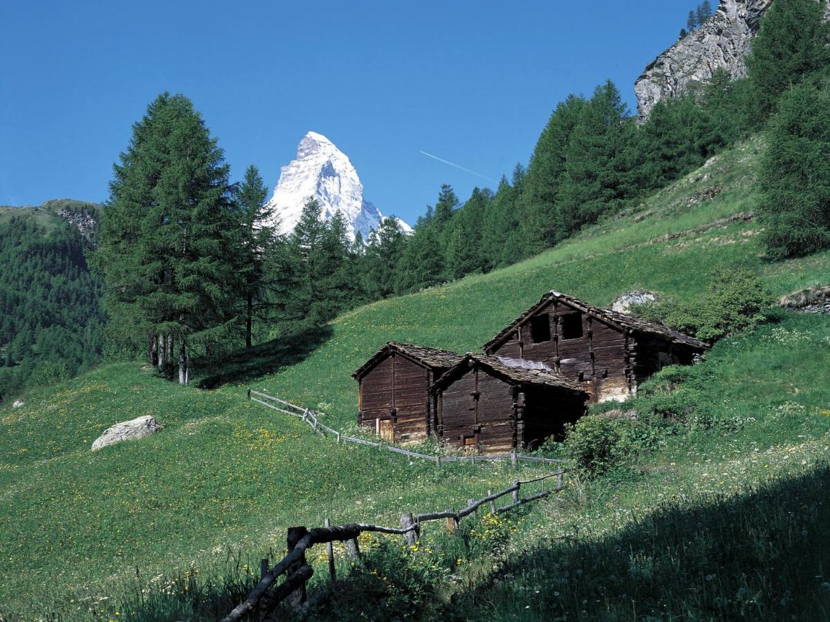 Apartment Chalet Dossen Zermatt Eksteriør bilde